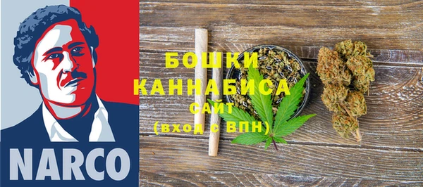 таблы Ельня