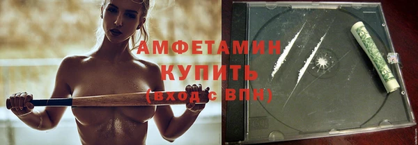 шишки Заводоуковск