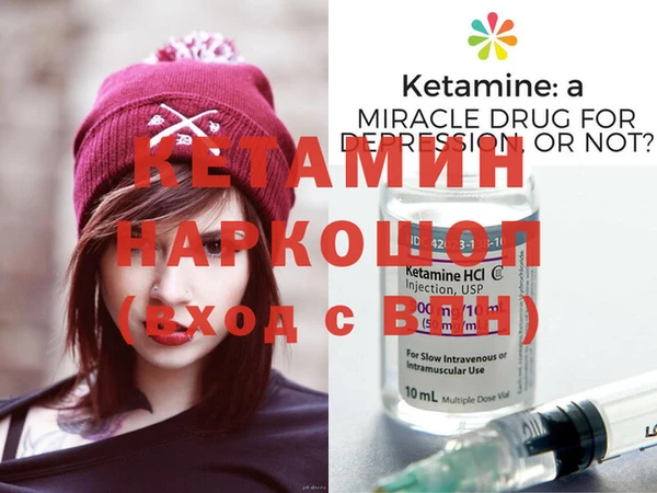 шишки Заводоуковск