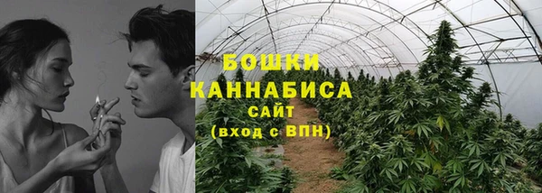 таблы Ельня