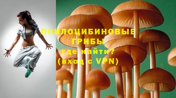 шишки Заводоуковск