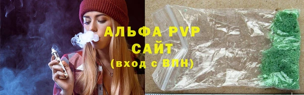 шишки Заводоуковск