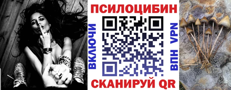 Галлюциногенные грибы прущие грибы  Пустошка 